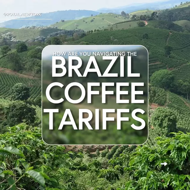 How are you navigating the Brazil coffee tariffs?
 
To ensure we can consistently carry the coffees you need most, we created a brief survey. 

Link in bio & stories. We appreciate your feedback!